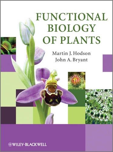 Бумажная книга «Functional Biology of Plants», авторов Джон А. Брайант, Мартин Дж. Ходсон - фото №1
