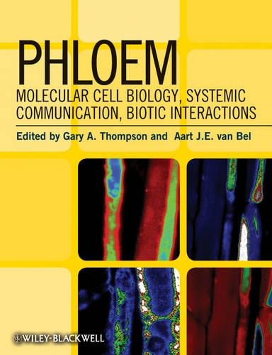 Бумажная книга «Phloem: Molecular Cell Biology, Systemic Communication, Biotic Interactions», авторов Аарт Дж. Э. ван Бел, Гэри А. Томпсон - фото №1