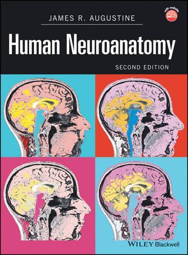 Бумажная книга «Human Neuroanatomy», автор Джеймс Р. Августин - фото №1