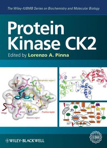 Бумажная книга «Protein Kinase CK2», автор Лоренцо А. Пинна - фото №1
