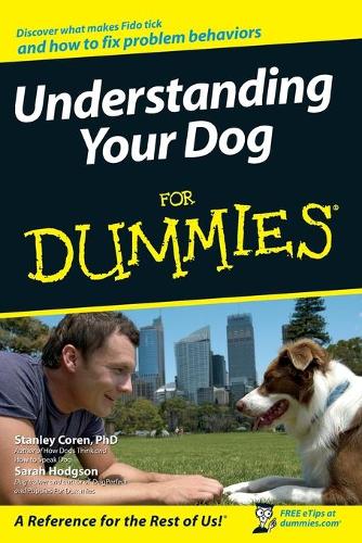 Бумажная книга «Understanding Your Dog For Dummies», авторов Сара Ходжсон, Стэнли Корен - фото №1