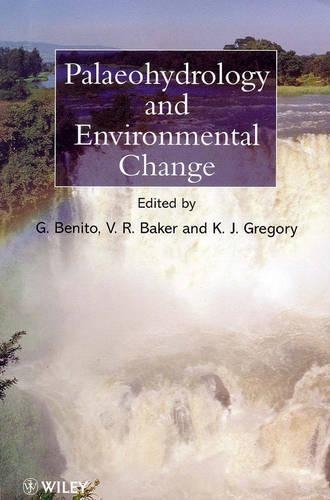 Бумажная книга «Palaeohydrology and Environmental Change», автор K. Дж. Грегори - фото №1