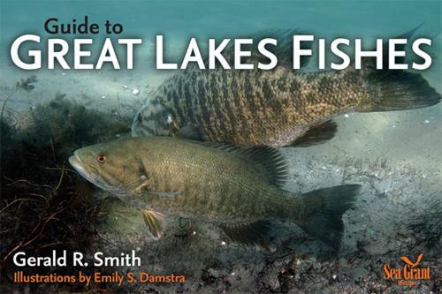 Бумажная книга «Guide to Great Lakes Fishes», авторов Эмили С Дамстра, Джеральд Рэй Смит - фото №1