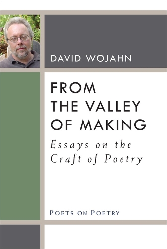 Бумажная книга «From the Valley of Making: Essays on the Craft of Poetry», автор Дэвид Воян - фото №1