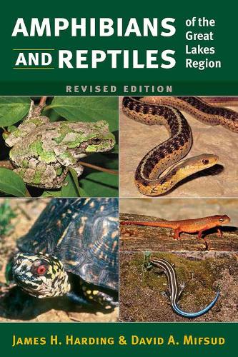 Бумажная книга «Amphibians and Reptiles of the Great Lakes Region», авторов Дэвид Мифсуд, Джеймс Х. Хардинг - фото №1