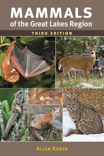 Бумажная книга «Mammals of the Great Lakes Region», автор Аллен Курта - фото №1