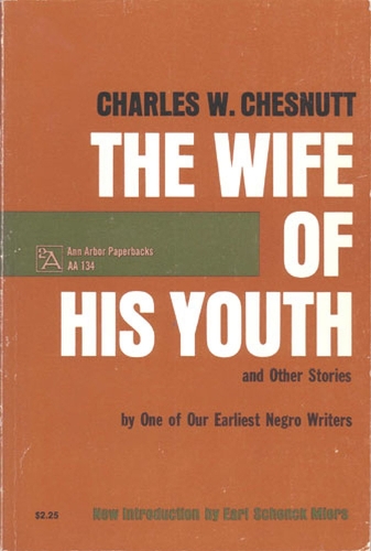 Бумажная книга «The Wife of His Youth and Other Stories», автор Чарльз У. Честнатт - фото №1