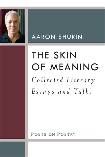 Бумажная книга «The Skin of Meaning: Collected Literary Essays and Talks», автор Аарон Шурин - фото №1