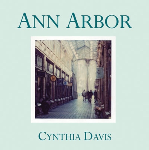 Паперова книга «Ann Arbor: Hand-Altered Polaroid Photographs», автор Синтія Девіс - фото №1