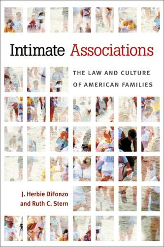 Бумажная книга «Intimate Associations: The Law and Culture of American Families», авторов Дж. Херби ДиФонзо, Рут К. Стерн - фото №1