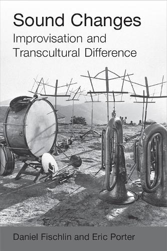 Бумажная книга «Sound Changes: Improvisation and Transcultural Difference», авторов Дэниел Фишлин, Эрик Портер - фото №1