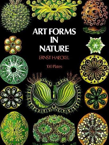 Бумажная книга «Art Forms in Nature», автор Эрнст Геккель - фото №1