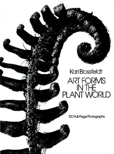 Бумажная книга «Art Forms in the Plant World», автор Карл Блоссфельдт - фото №1