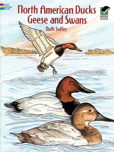 Бумажная книга «North American Ducks, Geese and Swans», автор Рут Соффер - фото №1