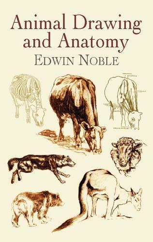 Бумажная книга «Animal Drawing and Anatomy», авторов Чарльз Р. Найт, Эдвин Нобл - фото №1