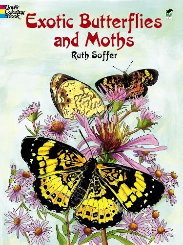 Бумажная книга «Exotic Butterflies and Moths Cb», автор Рут Соффер - фото №1