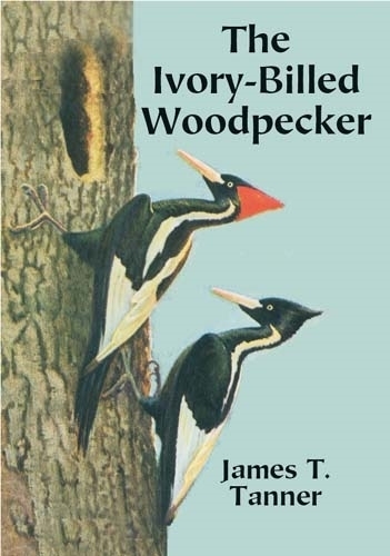 Паперова книга «The Ivory-Billed Woodpecker», автор Джеймс Т. Таннер - фото №1