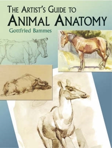 Паперова книга «The Artist's Guide to Animal Anatomy», авторів Готфрід Баммес, Джефф Менгес - фото №1