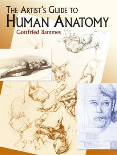 Паперова книга «The Artist's Guide to Human Anatomy», автор Готфрід Баммес - фото №1