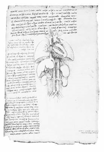 Бумажная книга «Leonardo'S Anatomical Drawings», автор Леонардо да Винчи - фото №1