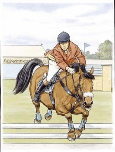Бумажная книга «Favorite Horses Coloring Book», автор Джон Грин - фото №1