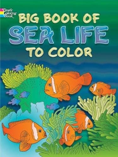 Бумажная книга «Big Book of Sea Life to Color», авторов Люсия де Лейрис, Рут Соффер - фото №1
