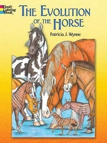 Бумажная книга «The Evolution of the Horse», авторов Нэнси Э. Рексфорд, Патриция Дж. Уинн - фото №1
