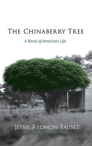 Бумажная книга «The Chinaberry Tree: A Novel of American Life», автор Джесси Фаузет - фото №1