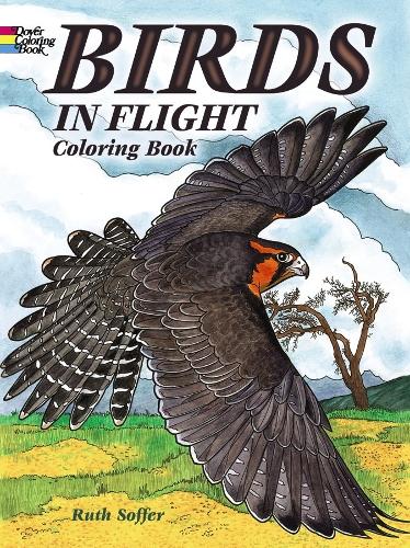 Паперова книга «Birds in Flight Coloring Book», автор Рут Соффер - фото №1