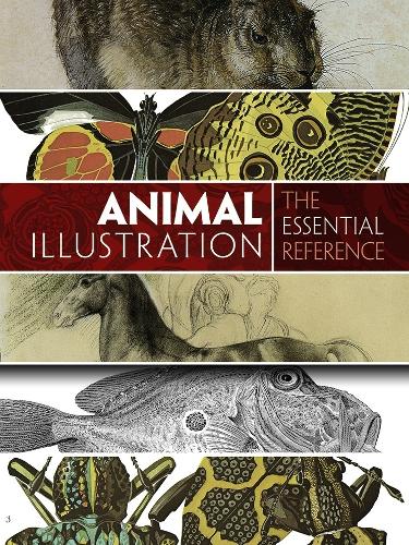 Паперова книга «Animal Illustration: the Essential Reference», автор Керол Белангер Графтон - фото №1