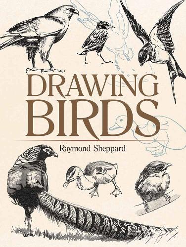 Бумажная книга «Drawing Birds», автор Рэймонд Шеппард - фото №1