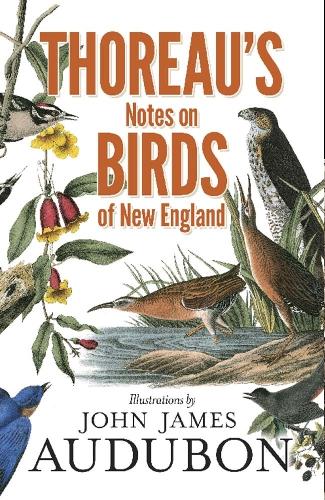 Бумажная книга «Thoreau'S Notes on Birds of New England», автор Генри Дэвид Торо - фото №1