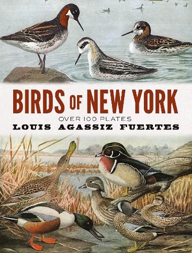 Бумажная книга «Birds of New York: Over 100 Plates», автор Луис Агассис Фуэртес - фото №1