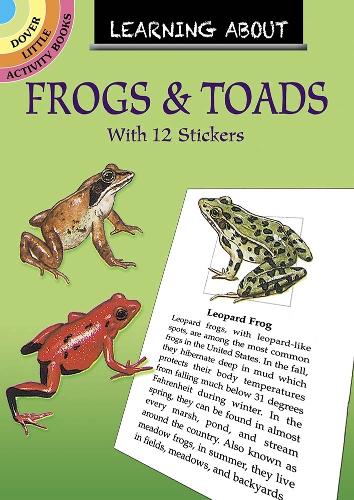 Бумажная книга «Learning About Frogs and Toads», автор Сай Барлоу - фото №1