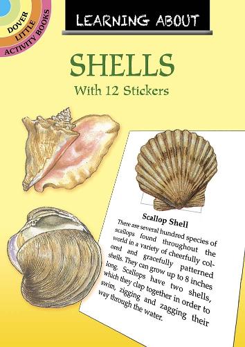 Бумажная книга «Learning About Shells», автор Сай Барлоу - фото №1