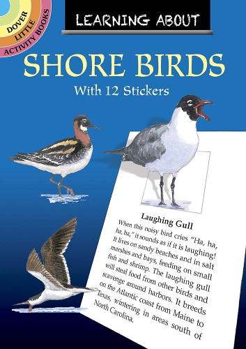 Бумажная книга «Learning About Shorebirds», автор Сай Барлоу - фото №1