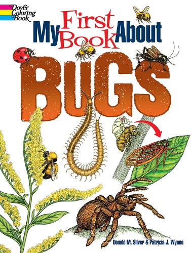 [object Object] «My First Book About Bugs», автор Патриция Уинн - фото №1