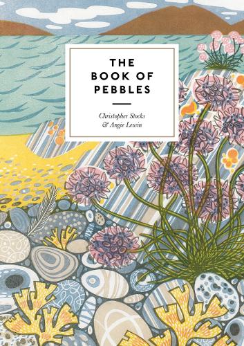 Паперова книга «The Book of Pebbles: From Prehistory to the Pet Shop Boys», авторів Енджі Левін, Крістофер Стокс - фото №1