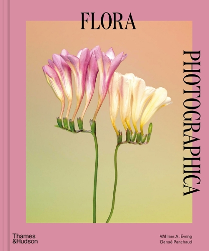 Бумажная книга «Flora Photographica: The Flower in Contemporary Photography», авторов Данаэ Паншо, Уильям А. Юинг - фото №1