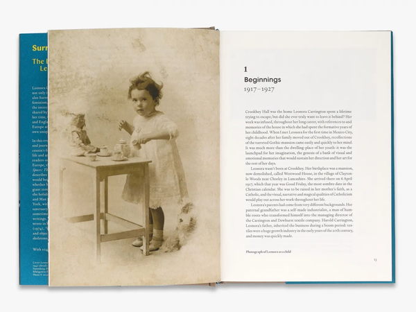 Паперова книга «Surreal Spaces. The Life and Art of Leonora Carrington», автор Джоанна Мурхед - фото №1