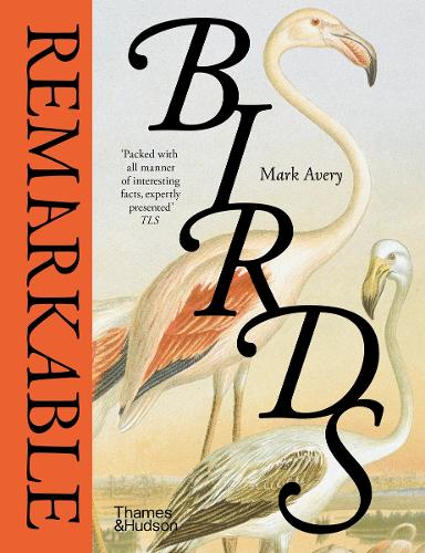 Бумажная книга «Remarkable Birds», автор Марк Эйвери - фото №1