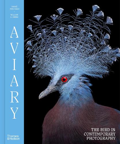 Паперова книга «Aviary: The Bird in Contemporary Photography», авторів Данае Паншо, Вільям А. Юінг - фото №1