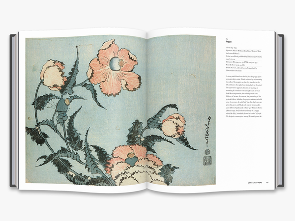 Паперова книга «Hokusai: beyond the Great Wave», автор Роджер Кіз - фото №1