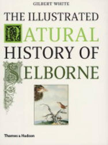 Бумажная книга «The Illustrated Natural History of Selborne», автор Гилберт Уайт - фото №1