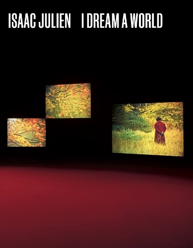 Бумажная книга «Isaac Julien: I Dream a World», авторов Б. Руби Рич, Дэн Хикс, Хилтон Алс - фото №1