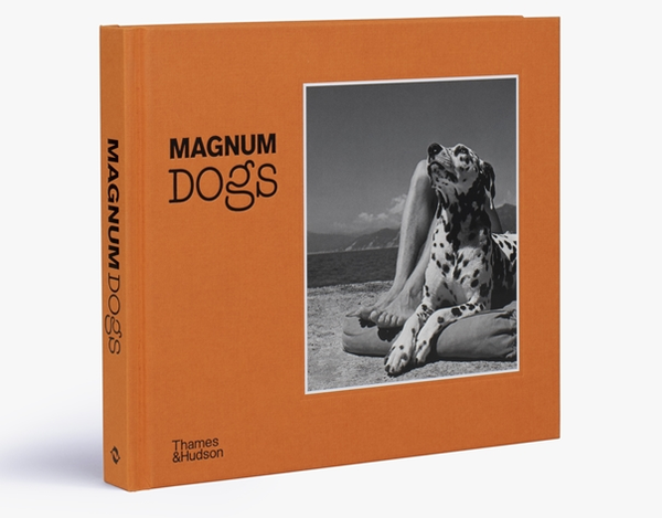 Бумажная книга «Magnum Dogs» - фото №1