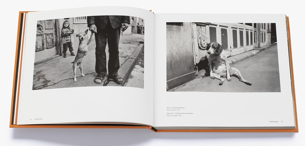 Бумажная книга «Magnum Dogs» - фото №1