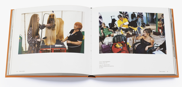 Бумажная книга «Magnum Dogs» - фото №1