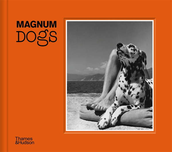 Бумажная книга «Magnum Dogs» - фото №1