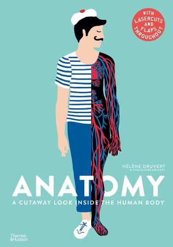 Паперова книга «Anatomy: A Cutaway Look Inside the Human Body», автор Елен Друверт - фото №1